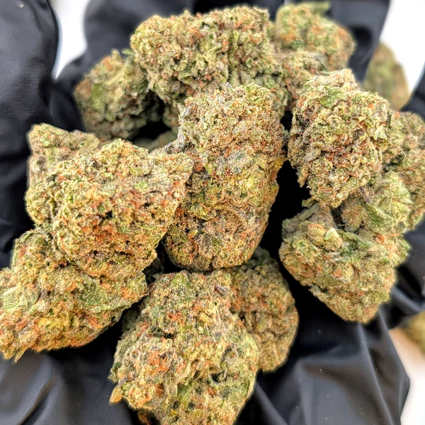 24K - 26.38% - Exotic Flower - Image 3