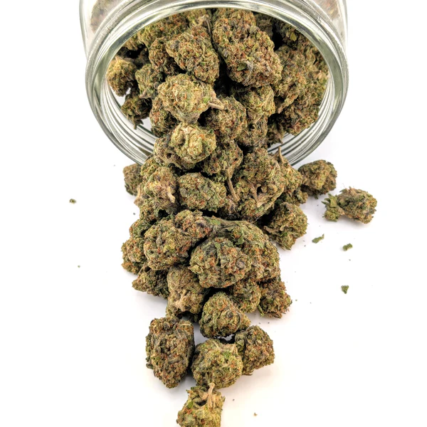 24K - 26.38% - Exotic Flower - Image 2