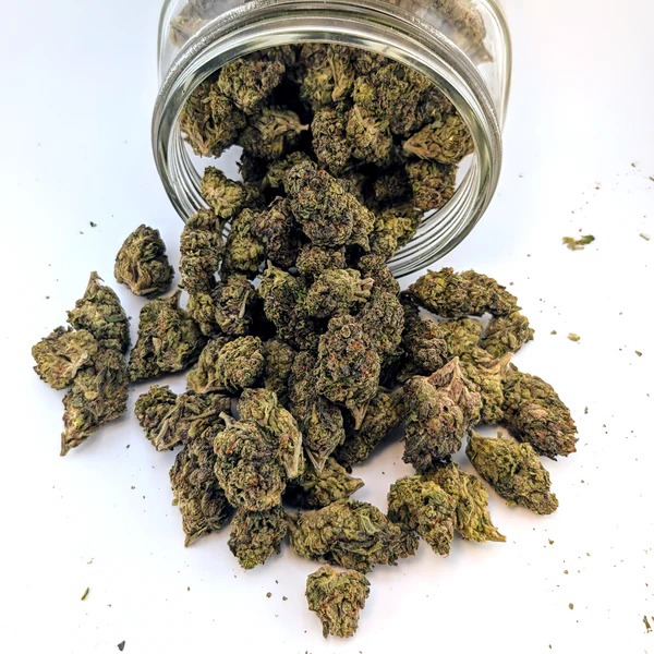 Glitter Bomb - 25.17%- Exotic Flower - Image 2