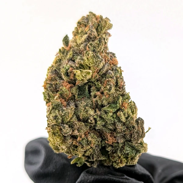 Glitter Bomb - 25.17%- Exotic Flower - Image 4