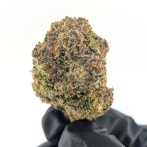 Tutti Frutti - 25.58%- Legendary Flower