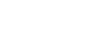 Item 1